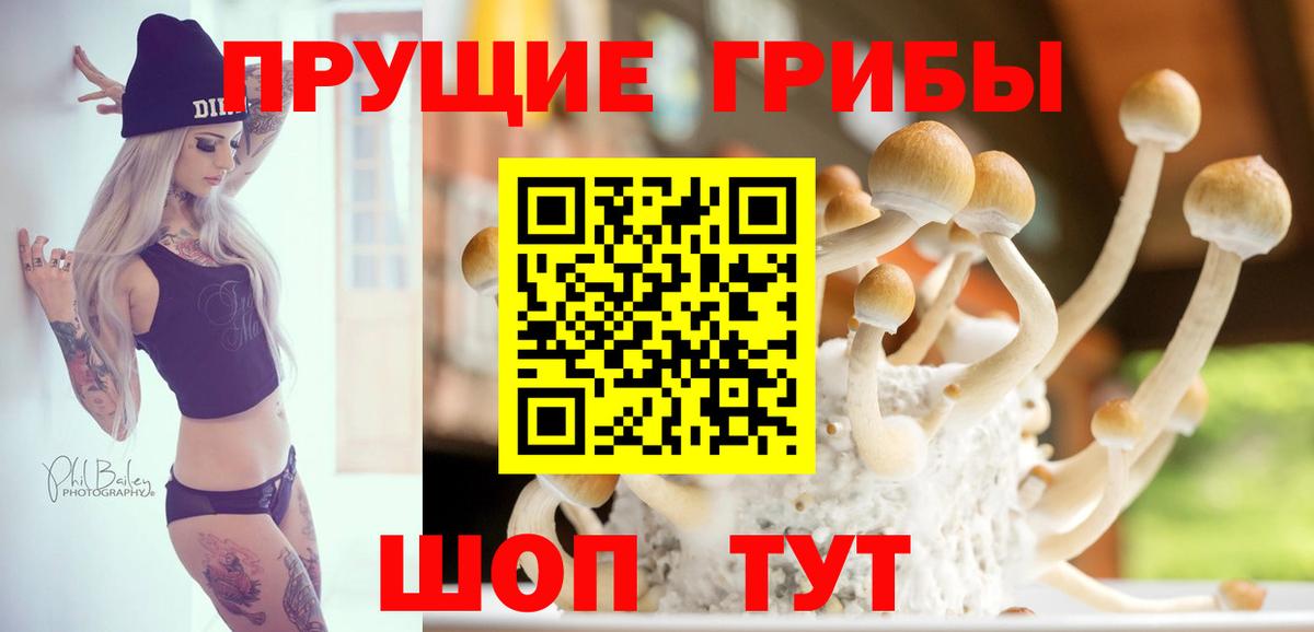 Галлюциногенные грибы Psilocybine cubensis  Псилоцибиновые грибы Psilocybe  Ростов-на-Дону  Вход с VPN 